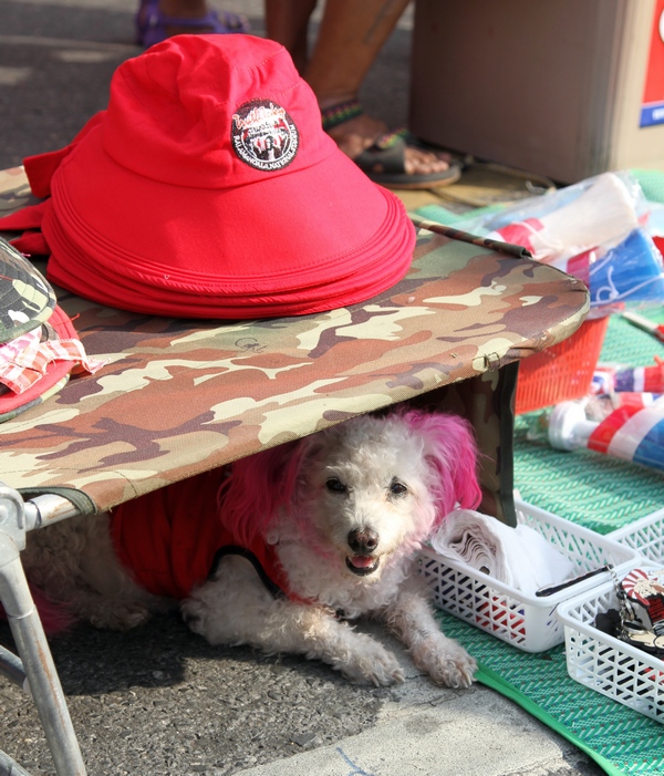 IMG_2533.JPG fs small.jpg