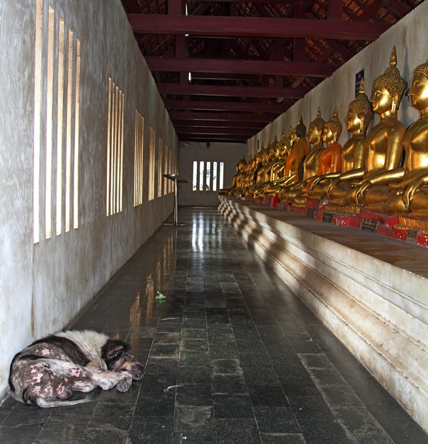 IMG_6273 fs small.jpg