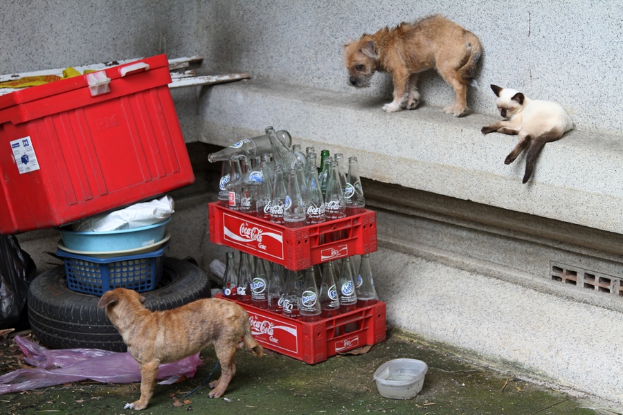 IMG_3261 fs small.jpg