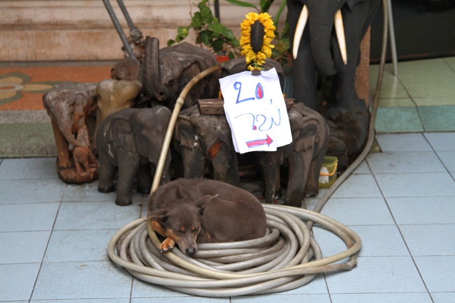 IMG_3515 fs.small jpg.jpg