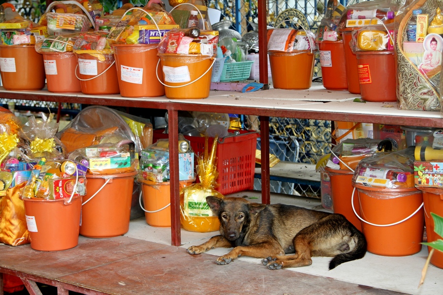 IMG_4783 fs small.jpg