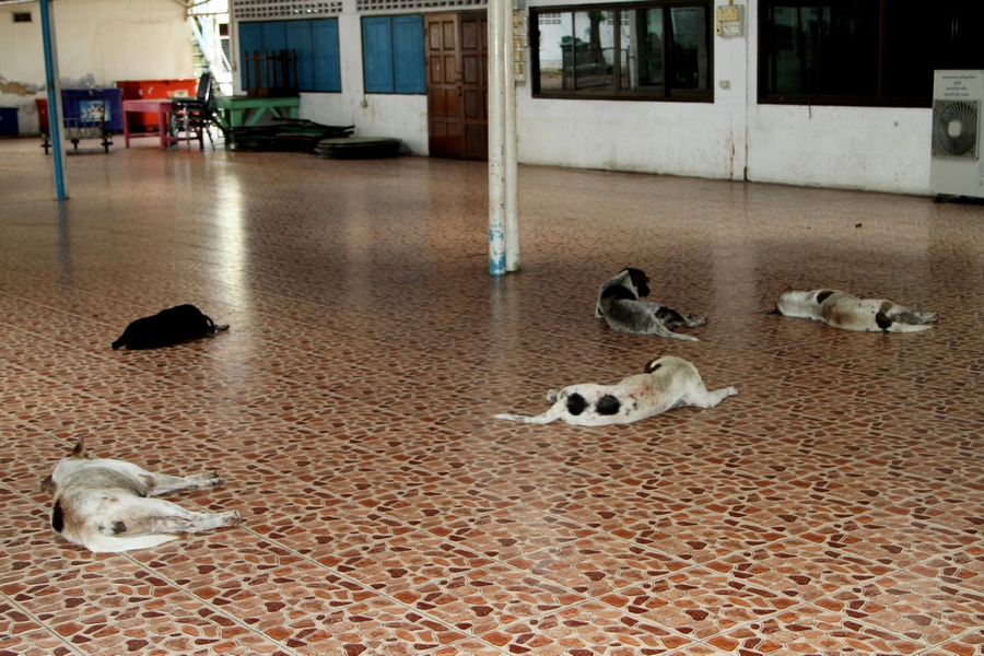 IMG_4467 fs small.jpg