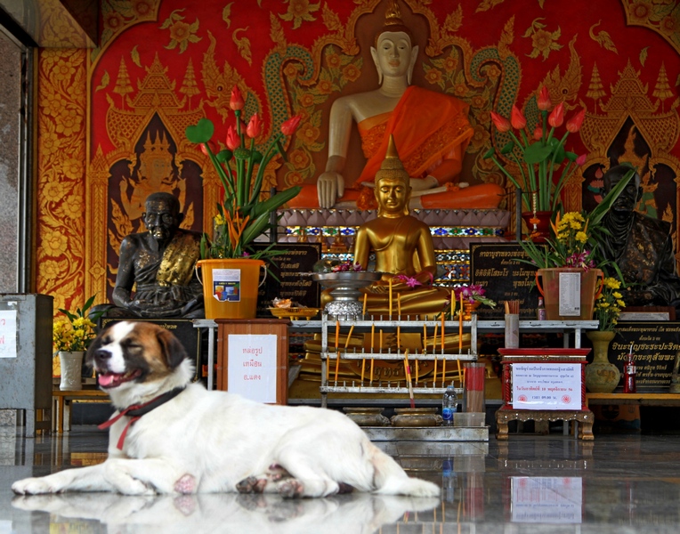 IMG_4521 fs small.jpg