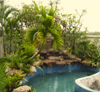 Koi pond.png