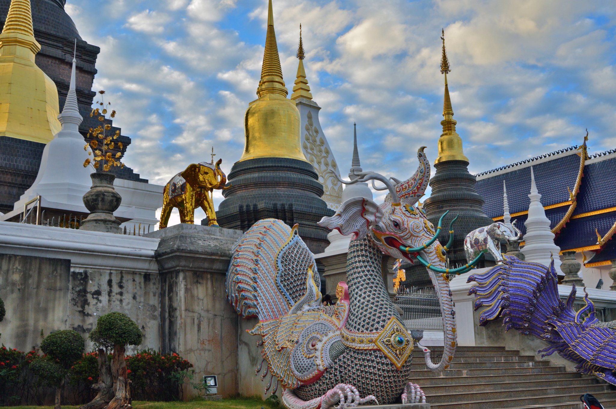 02-01-17 T -17-35-40 E.jpg