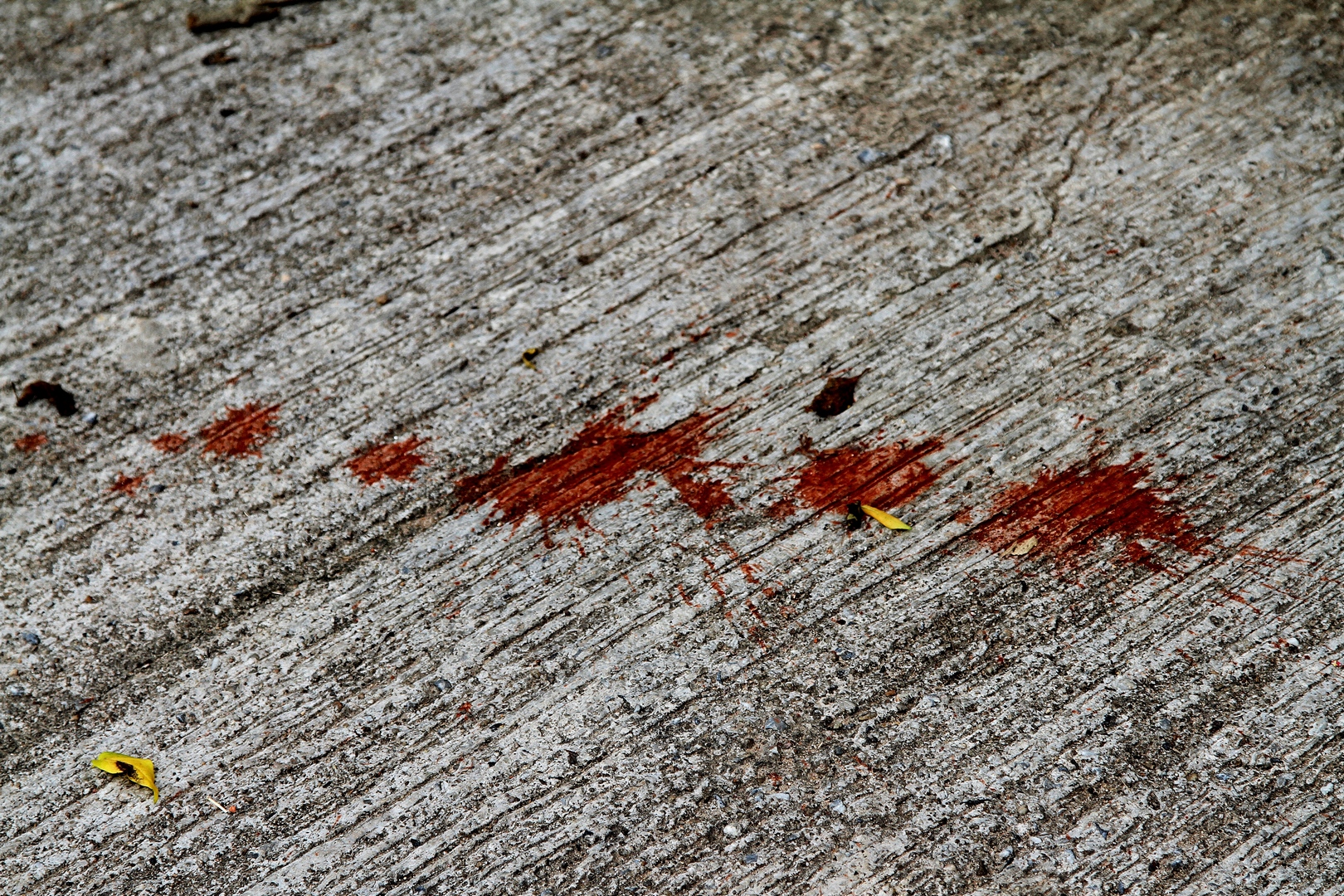 IMG_6957 fs small.jpg