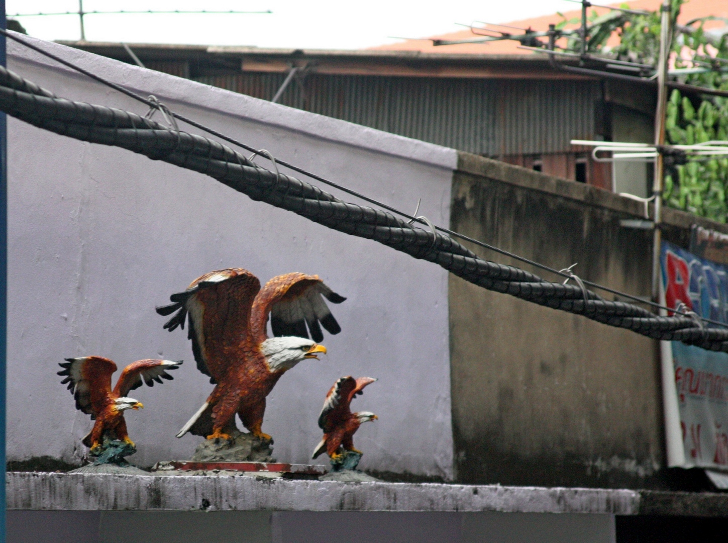 2009_07_05_01444 fs small.jpg