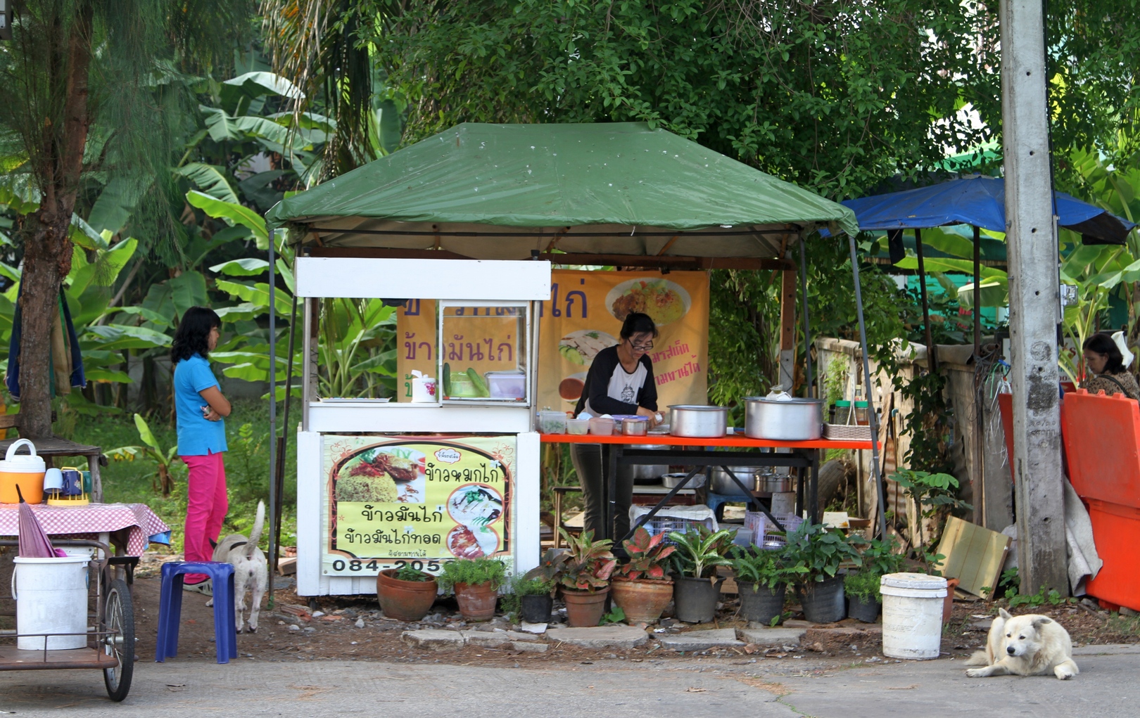 IMG_9315 fs small.jpg