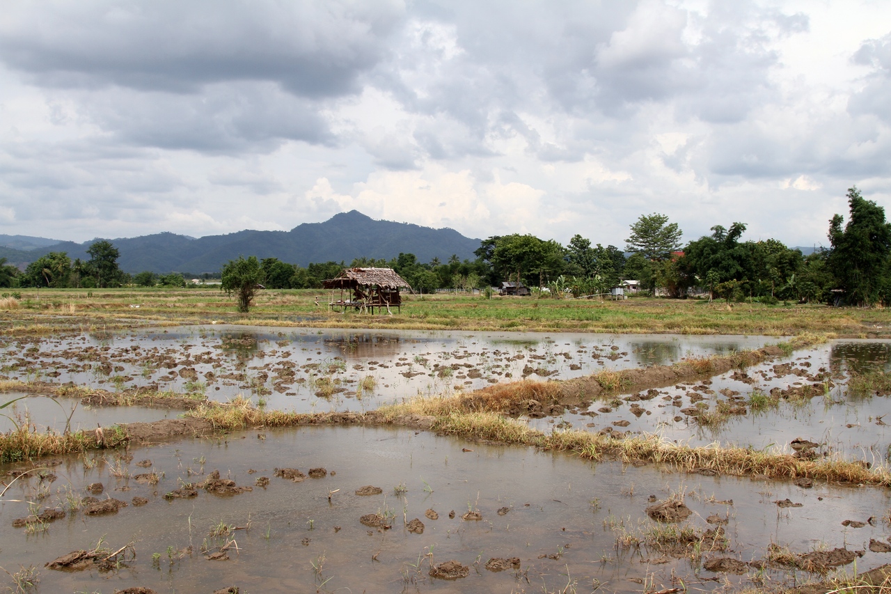 IMG_7512.JPG fs small.jpg