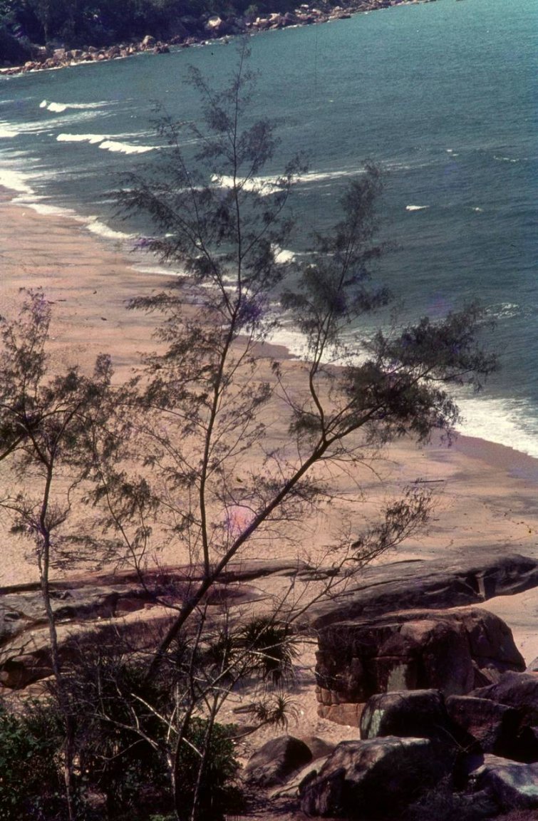 model0101 fs small.jpg