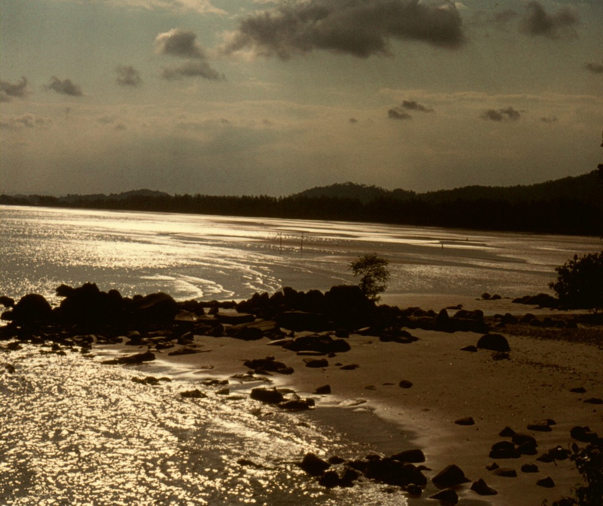 Scan20142 fs small.jpg