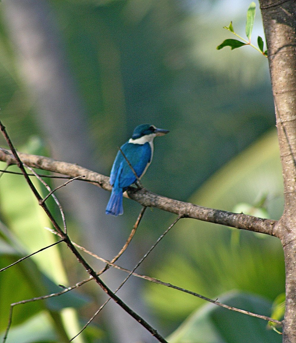 11-1-1009 2 (46)_cr fs small.jpg