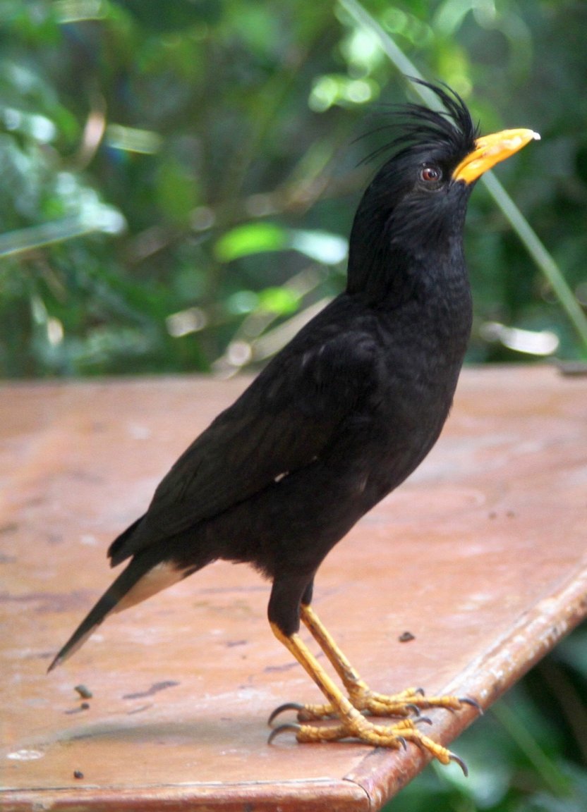 IMG_0931 fs small.jpg