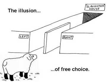 A_choice_1.jpg