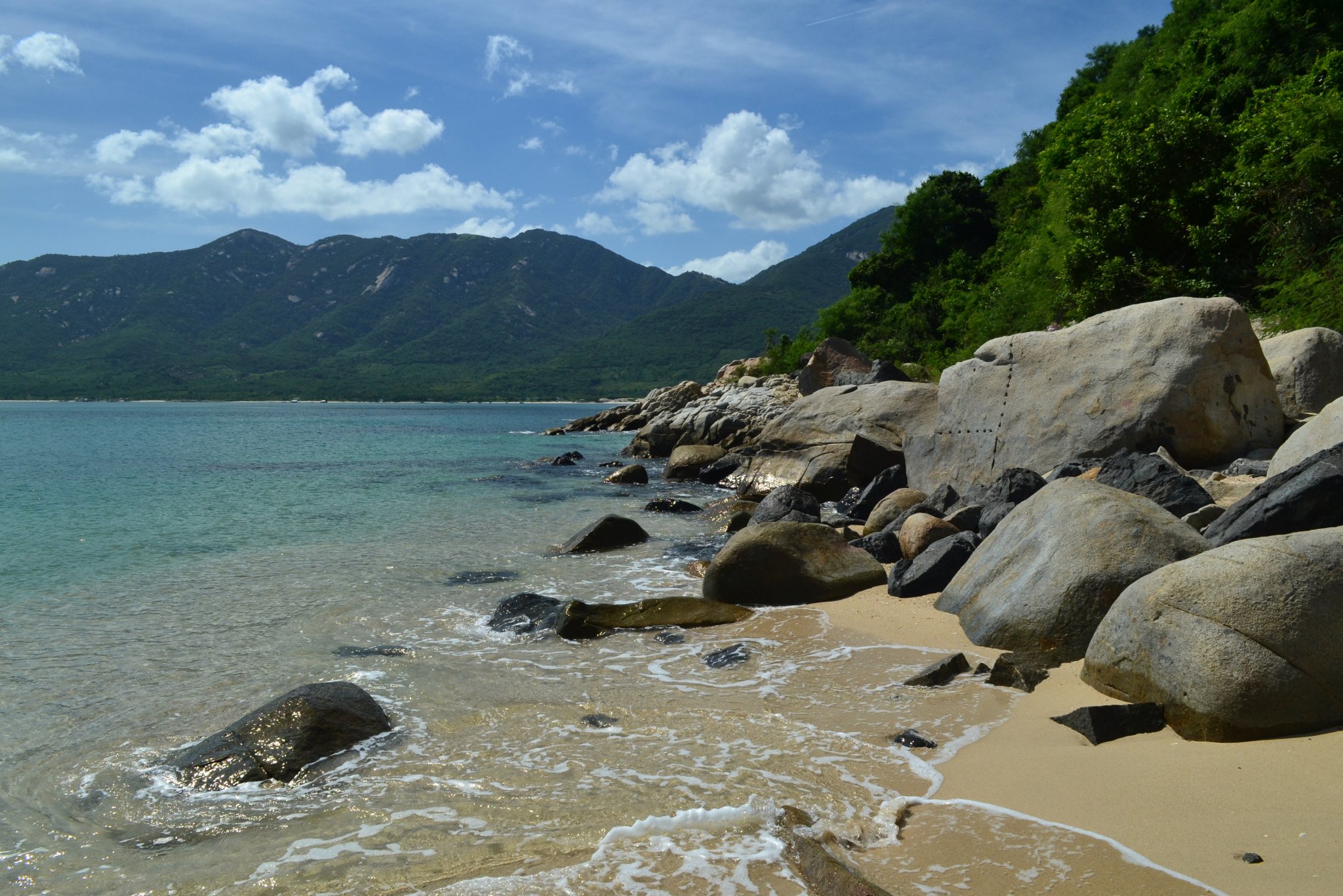 DSC_0266.JPG