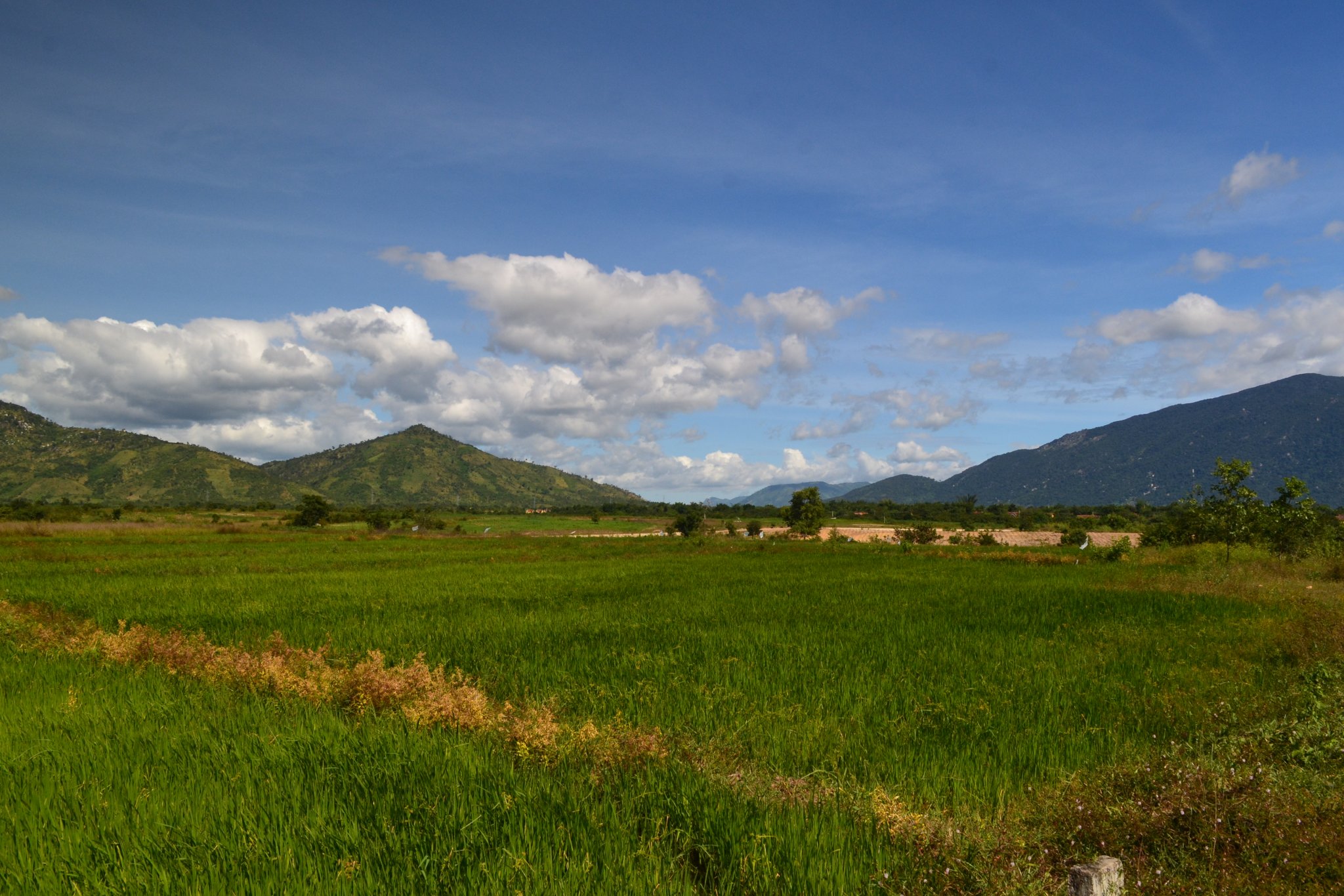 DSC_0292.JPG
