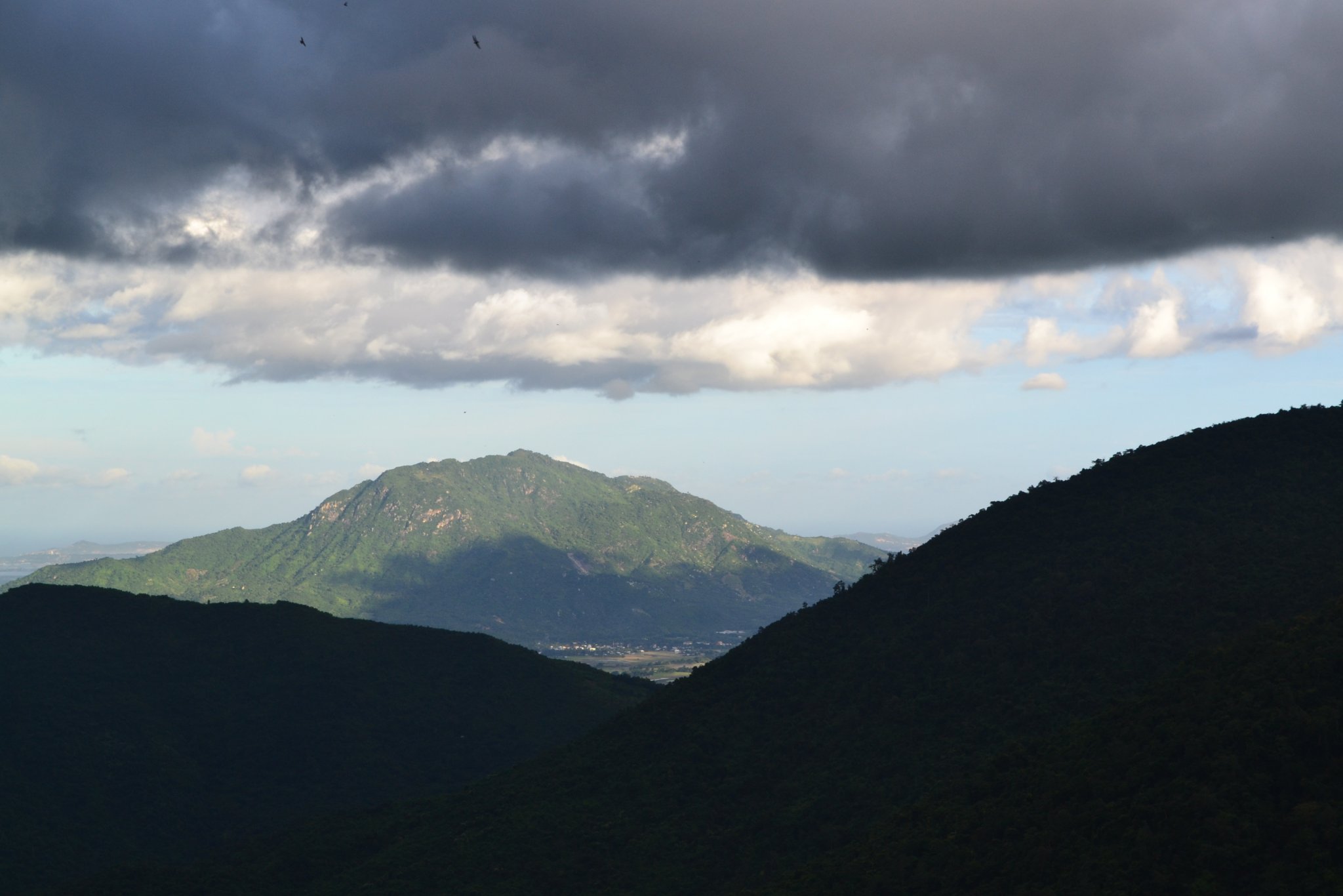 DSC_0303.JPG