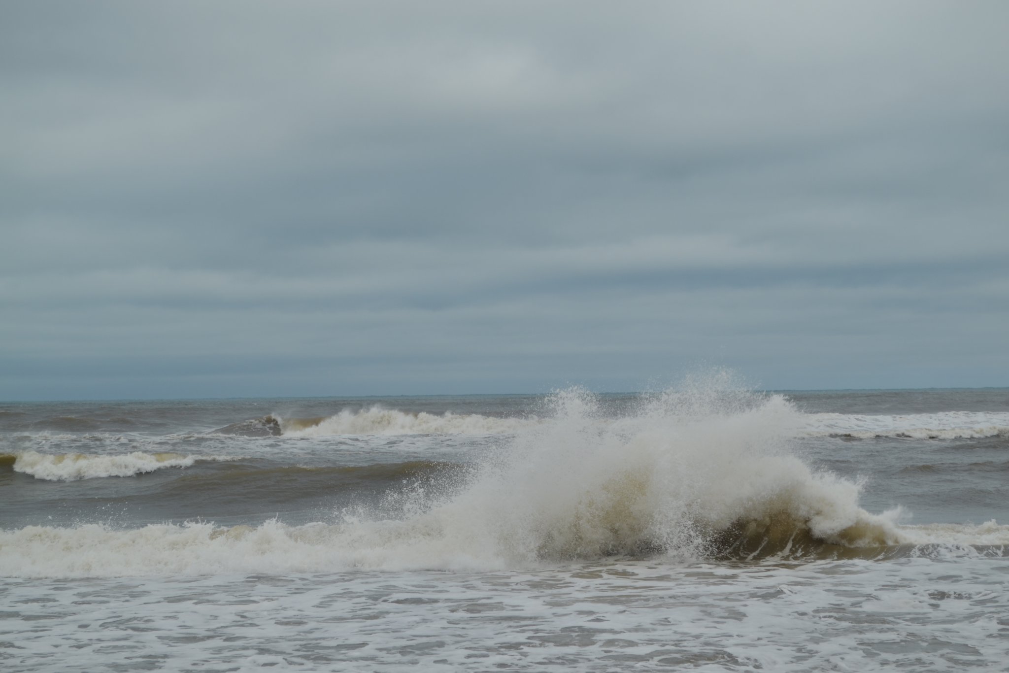 DSC_0382.JPG