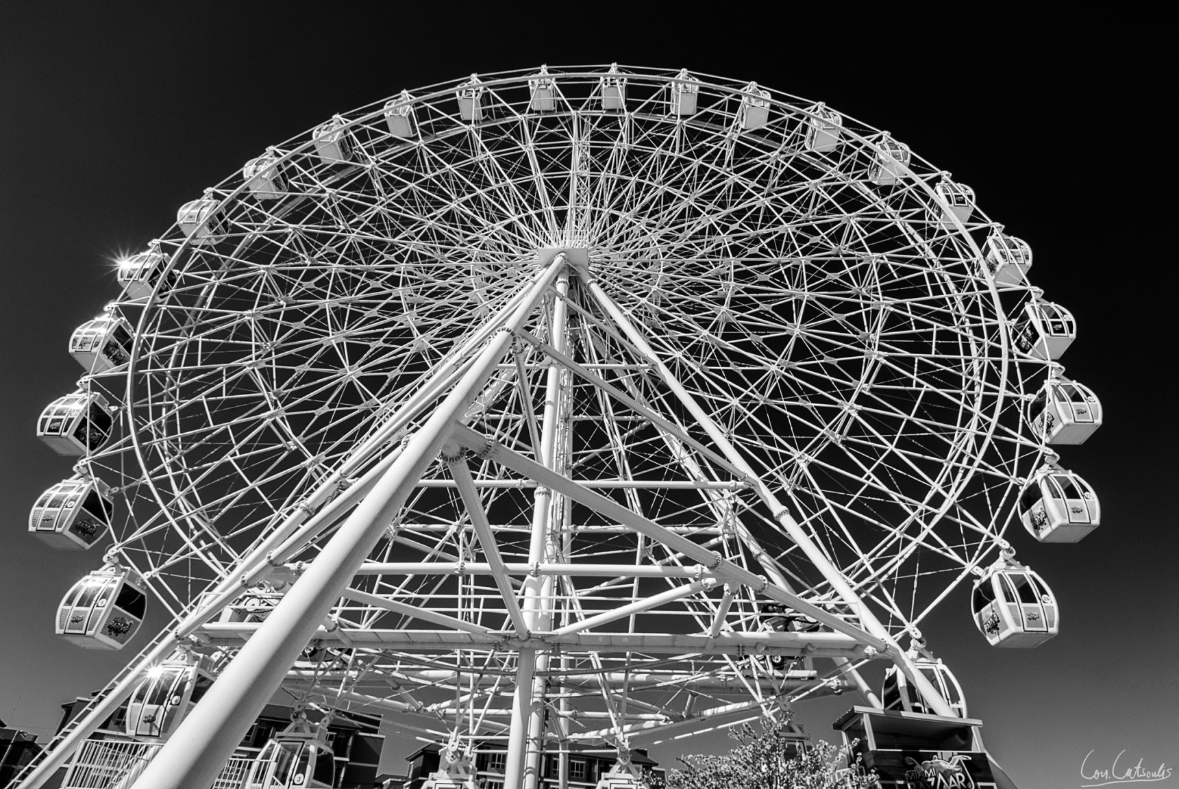 DSC_4466bw.jpg