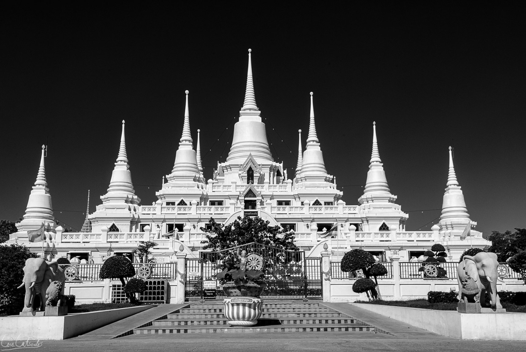 DSC_4513bw.jpg