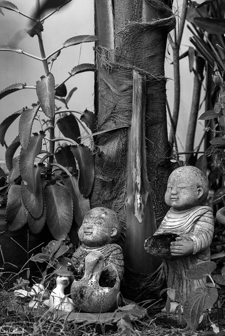 DSC_4584bw.jpg