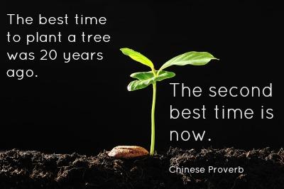 Plant_tree.jpg