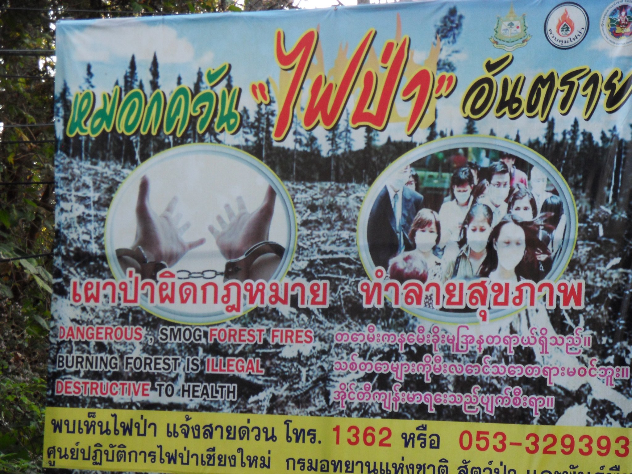 SDC10657.JPG