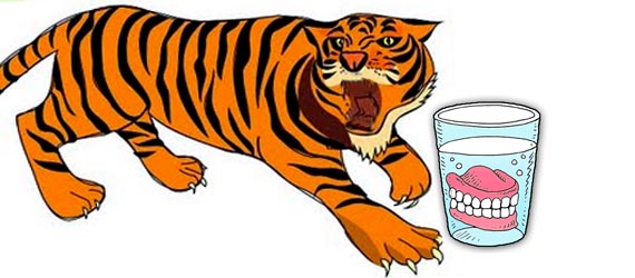 Toothless-tiger.jpg