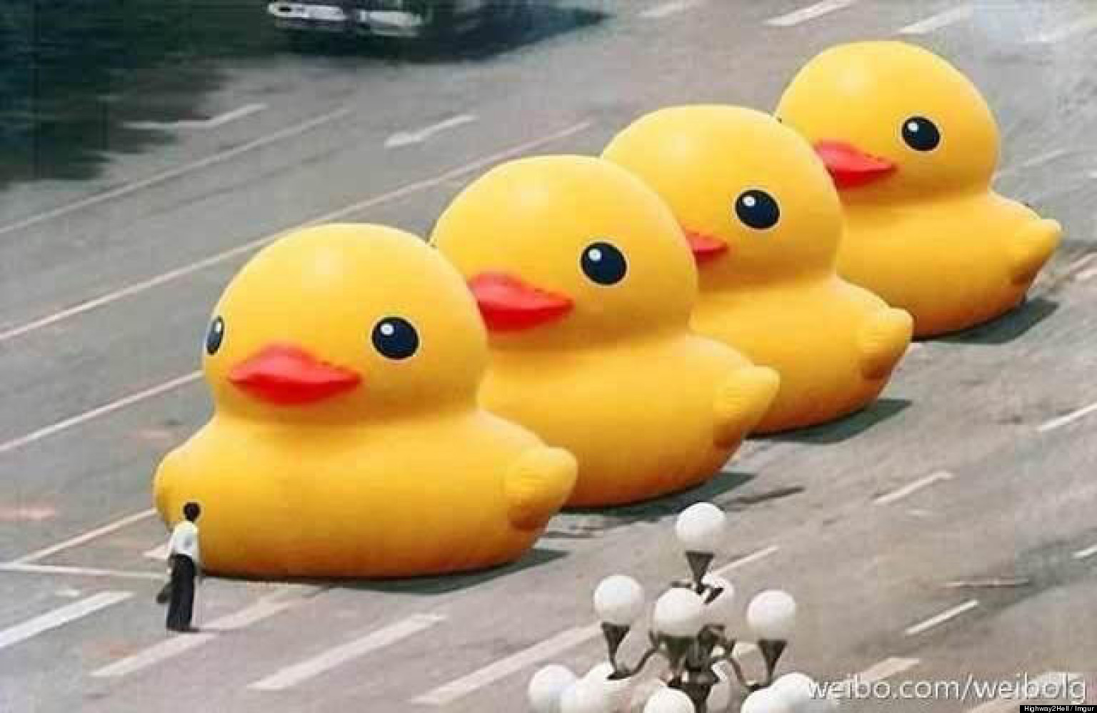 duck_suppression.jpg