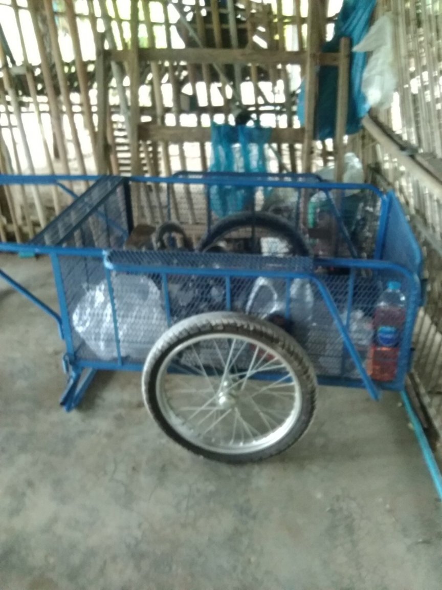 image.jpeg