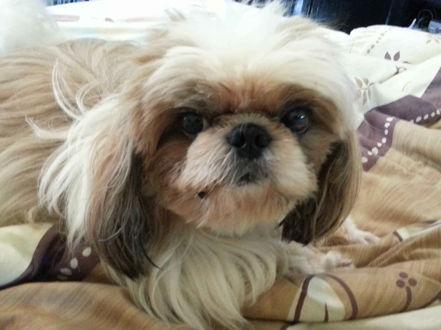 20121102_091830.jpg