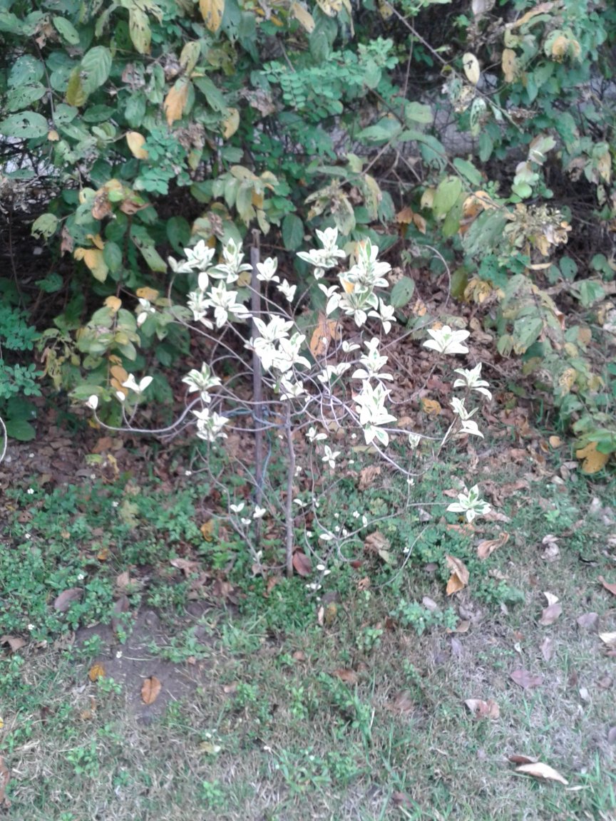 20170203_085127.jpg