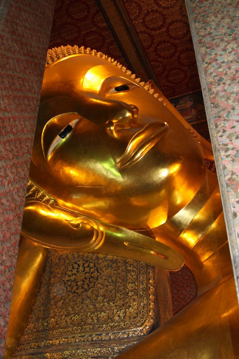 450D-5482-03_01_2009 fs small.jpg