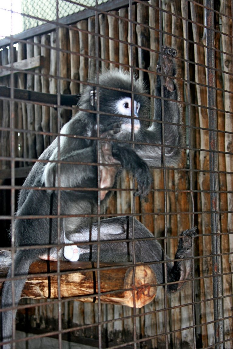 20080320_2862 fs small.jpg