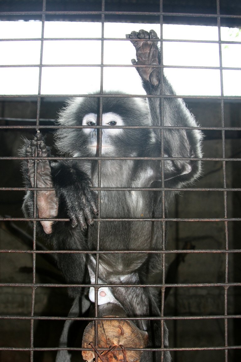 20080320_2866 fs small.jpg