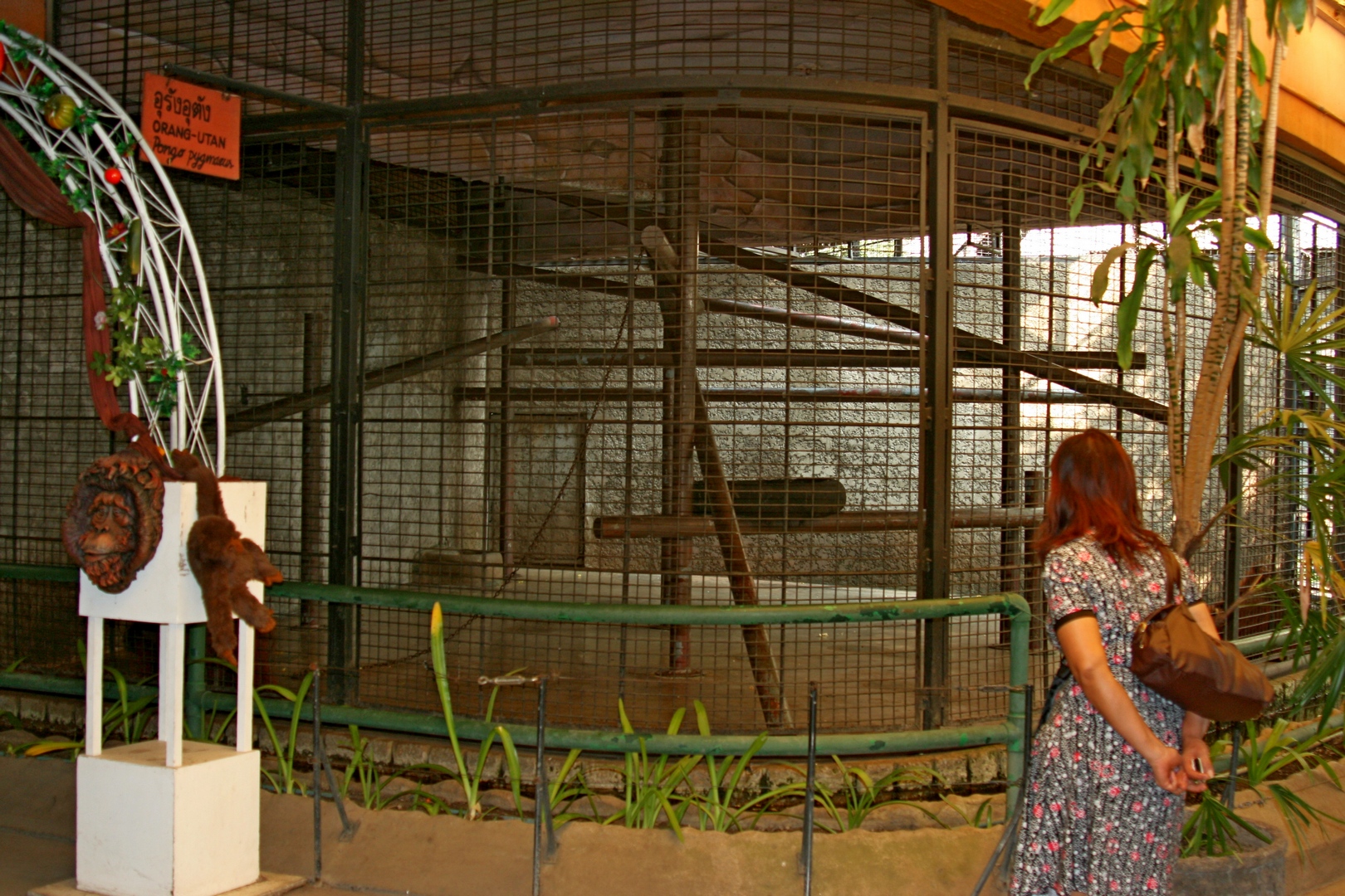 20080320_2912.JPG fs small.jpg