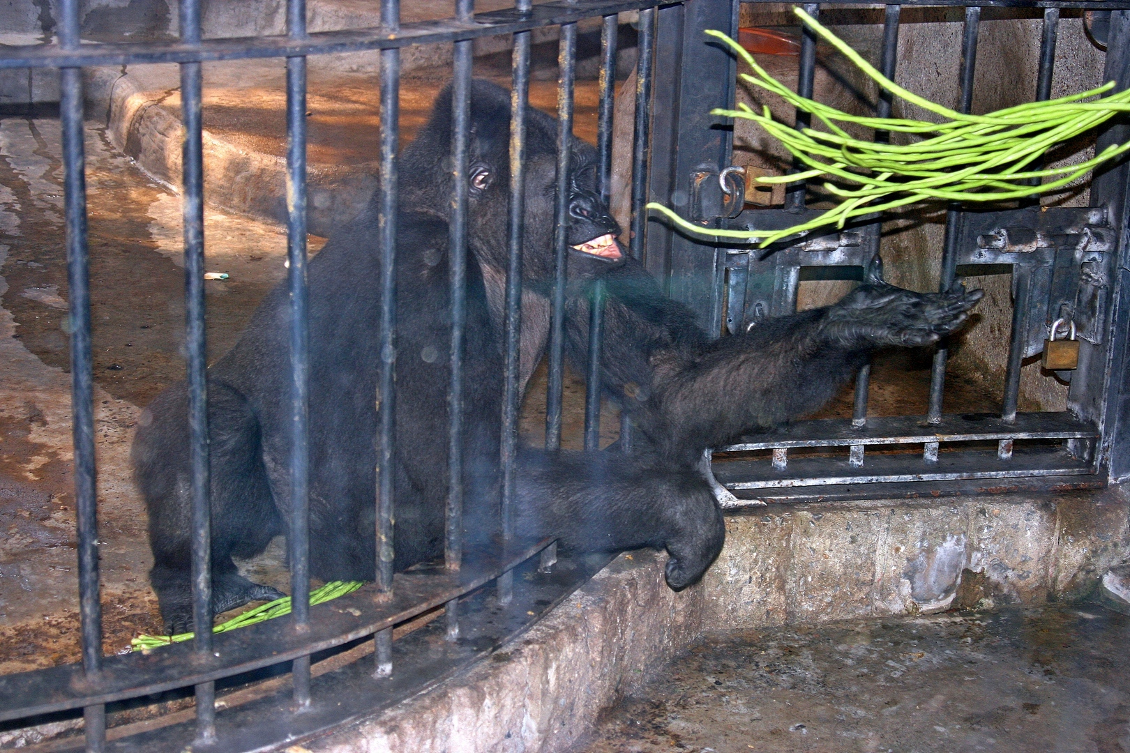 20080320_2926 fs small.jpg