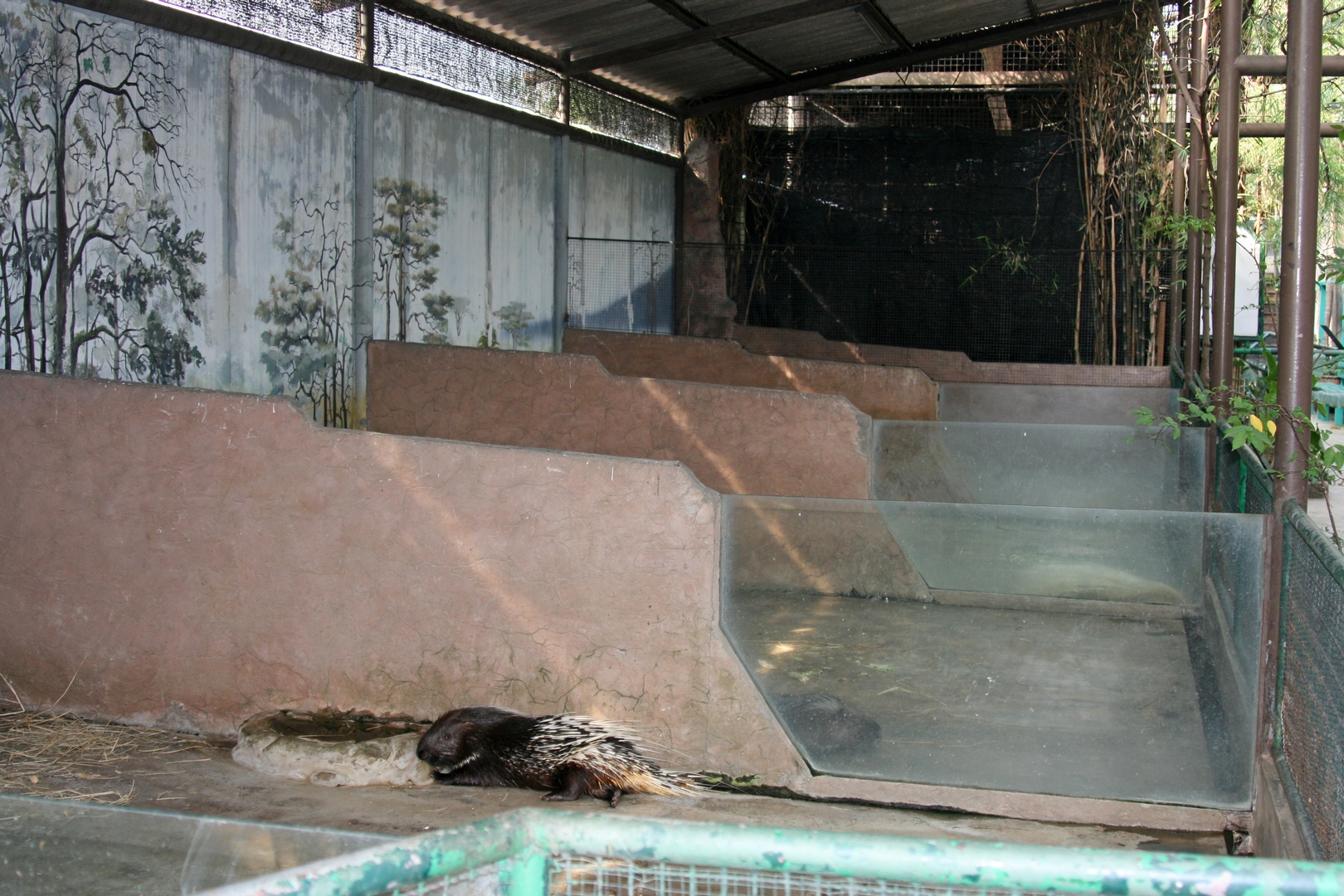 20080320_2941 fs small.jpg