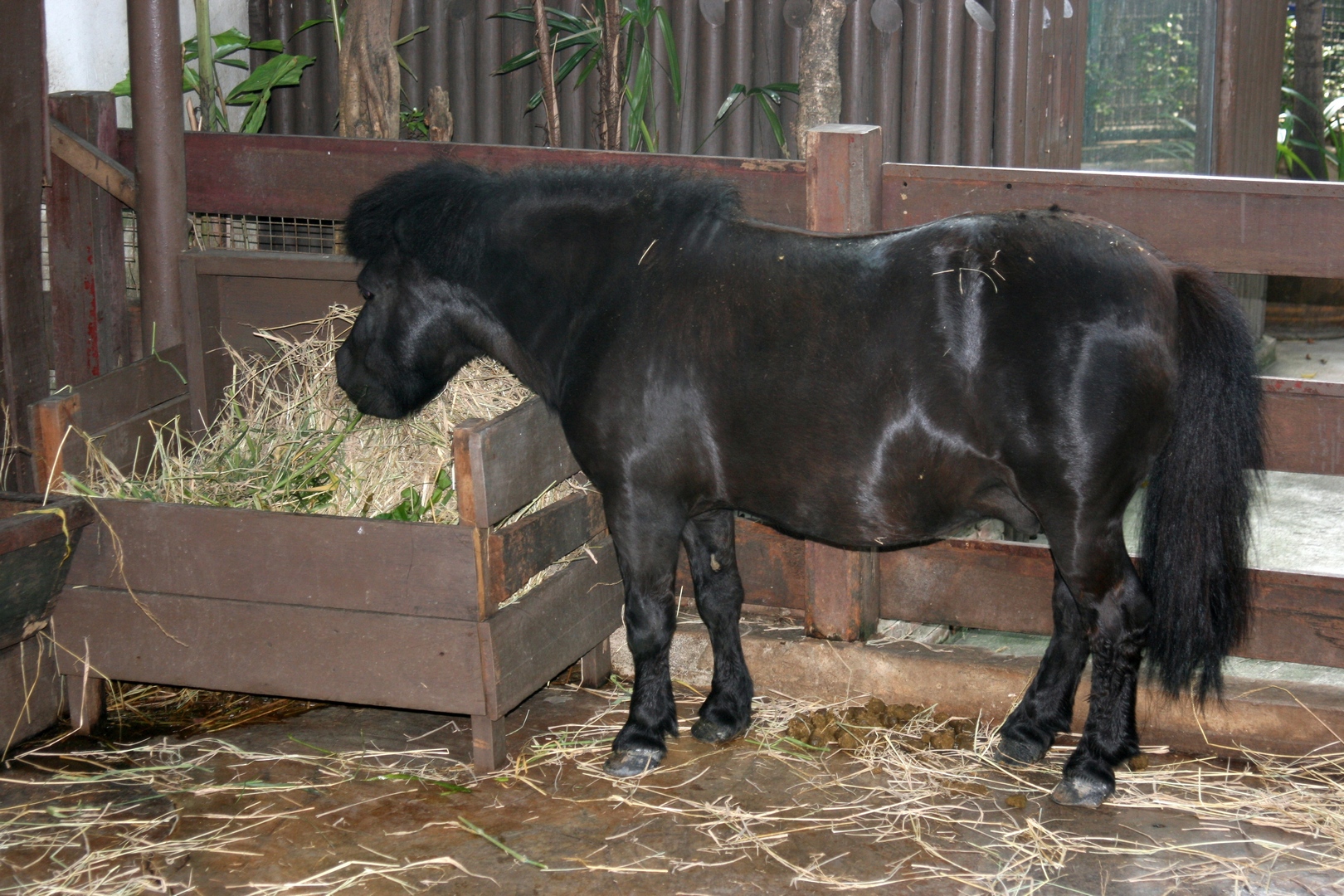 20080320_2942.JPG fs small.jpg