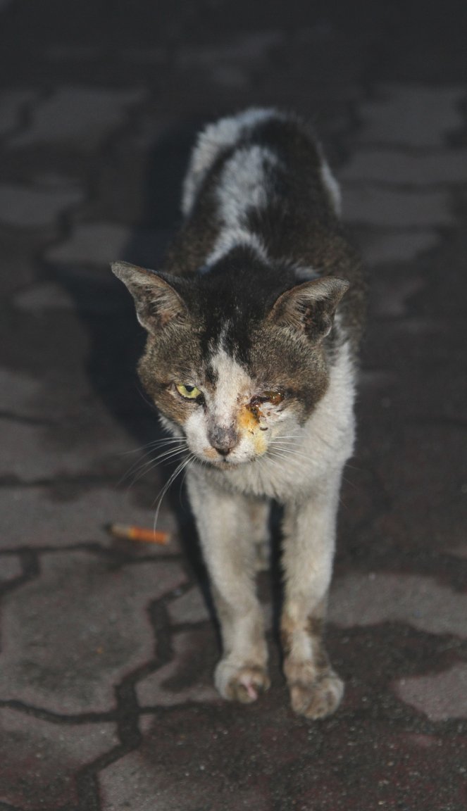 IMG_5925 fs amall.jpg