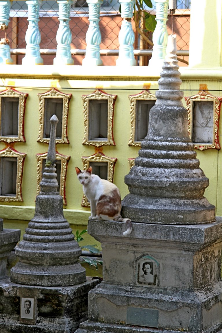 IMG_9171.JPG fs small.jpg