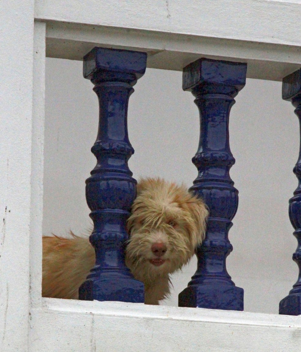 IMG_4358 fs small.jpg