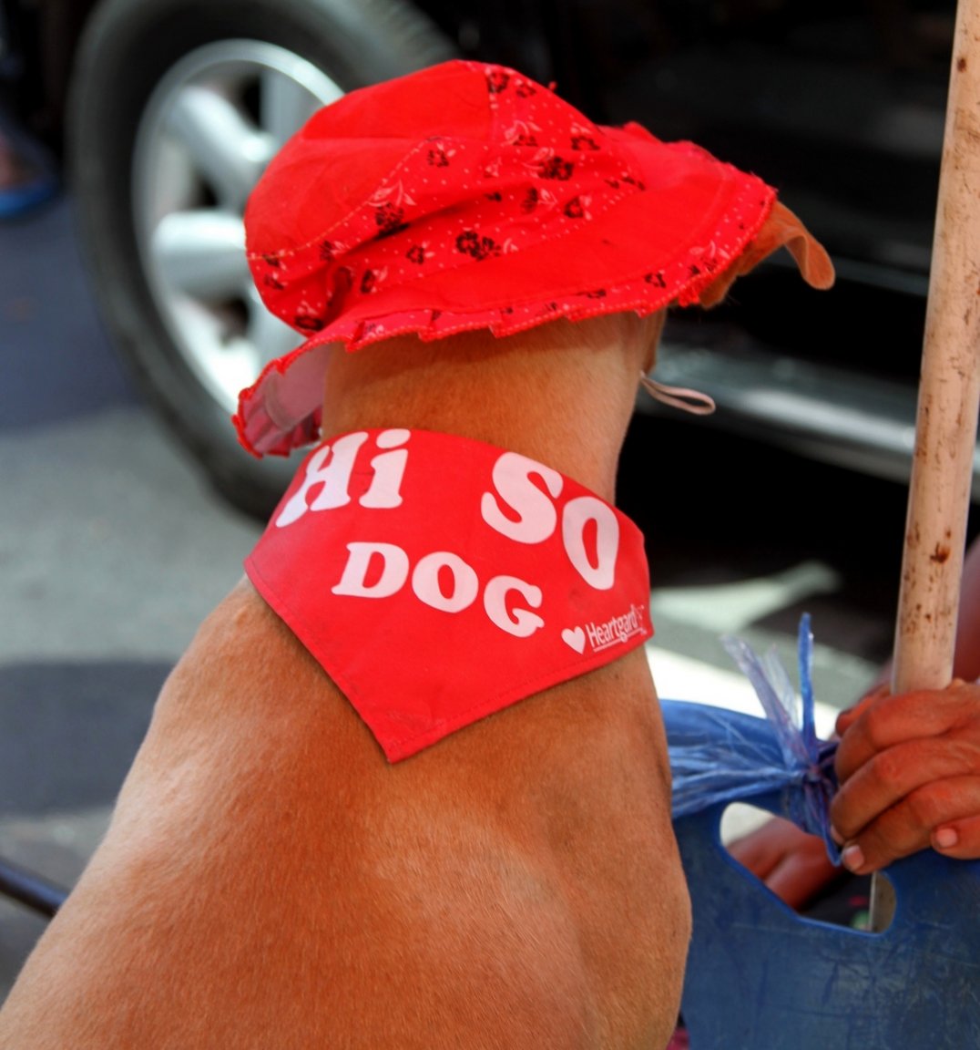 IMG_4480 fs small.jpg