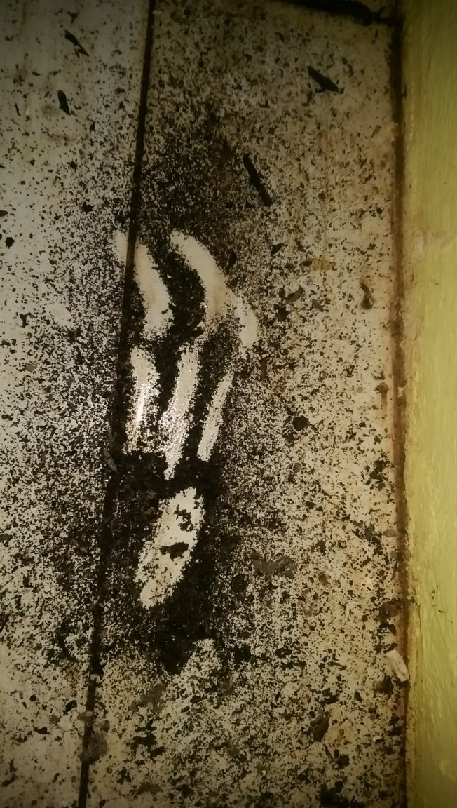 Weird gritty shit (2).jpg