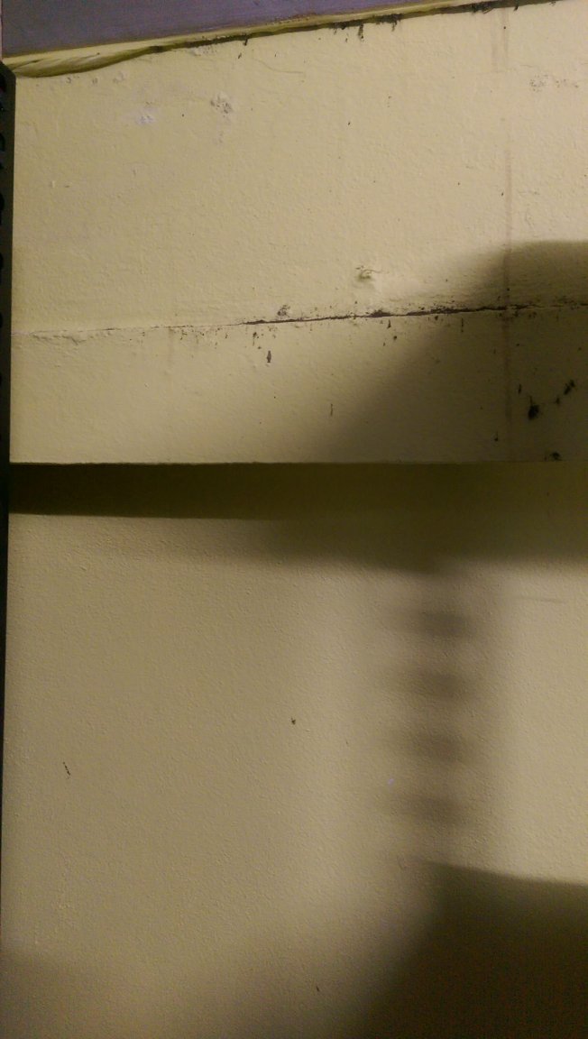 Weird gritty shit (4).jpg