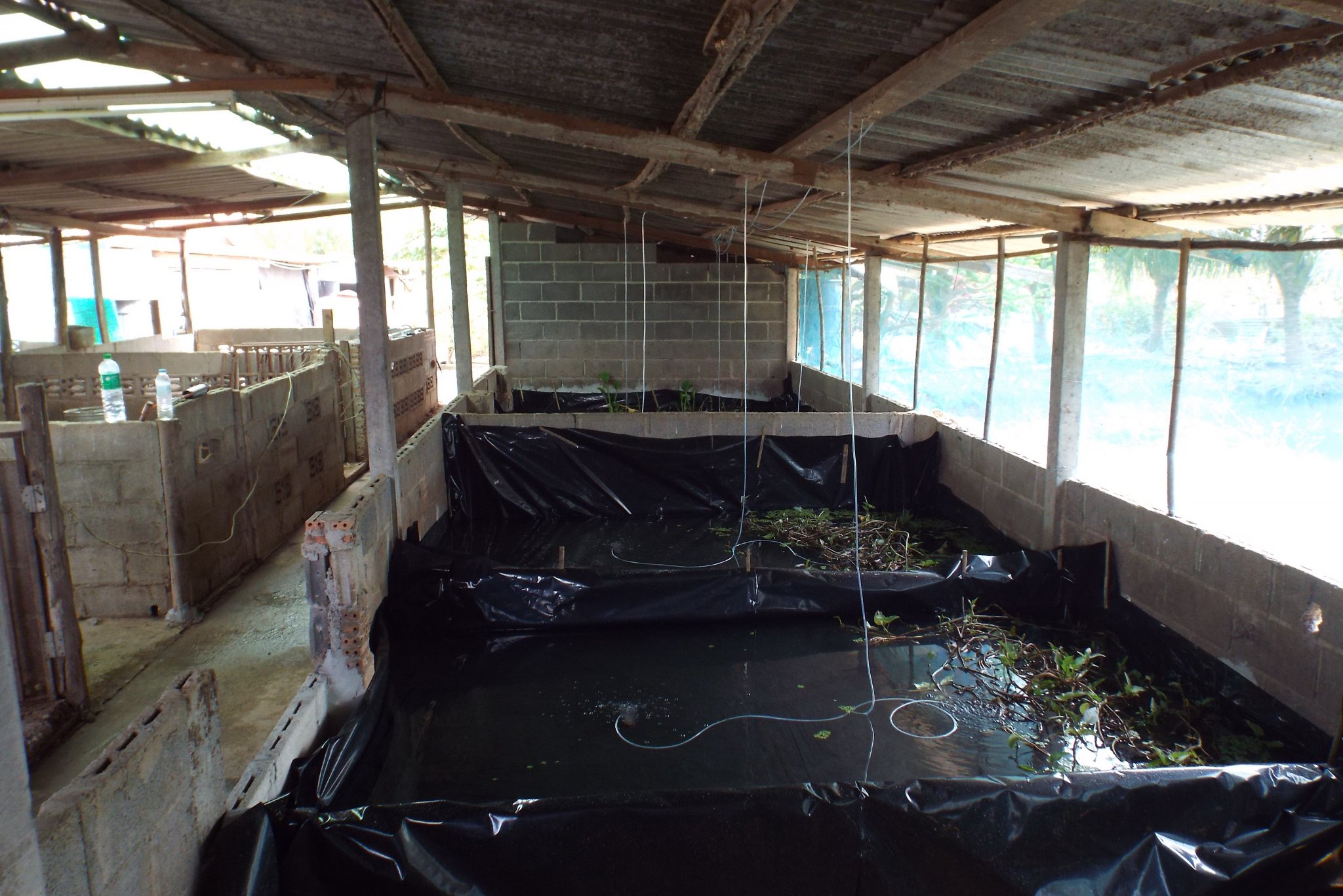 some reering ponds.jpg