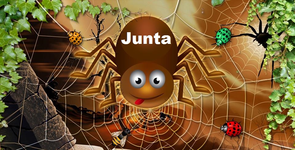 spider'.jpg