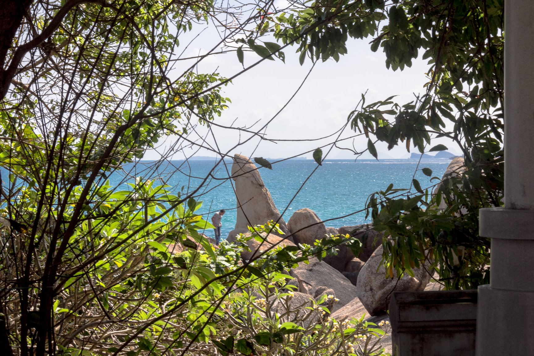 Samui  Shaun -8787.jpg