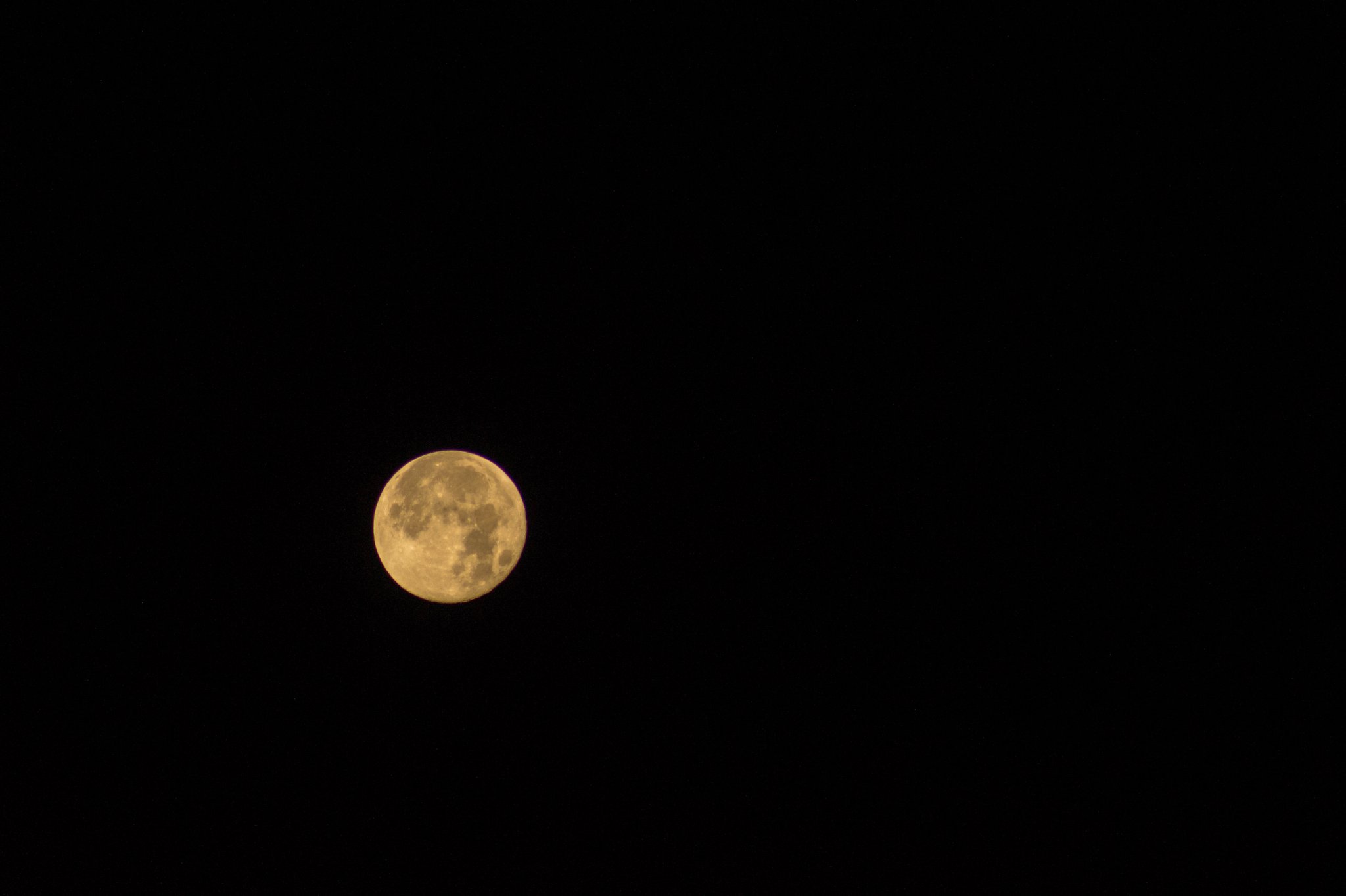 DSC09798.jpg