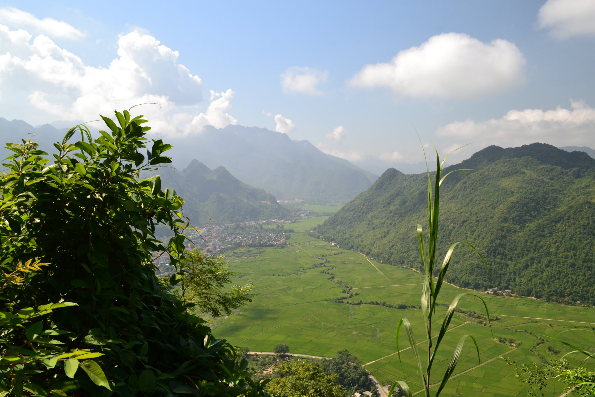 DSC_0142.JPG